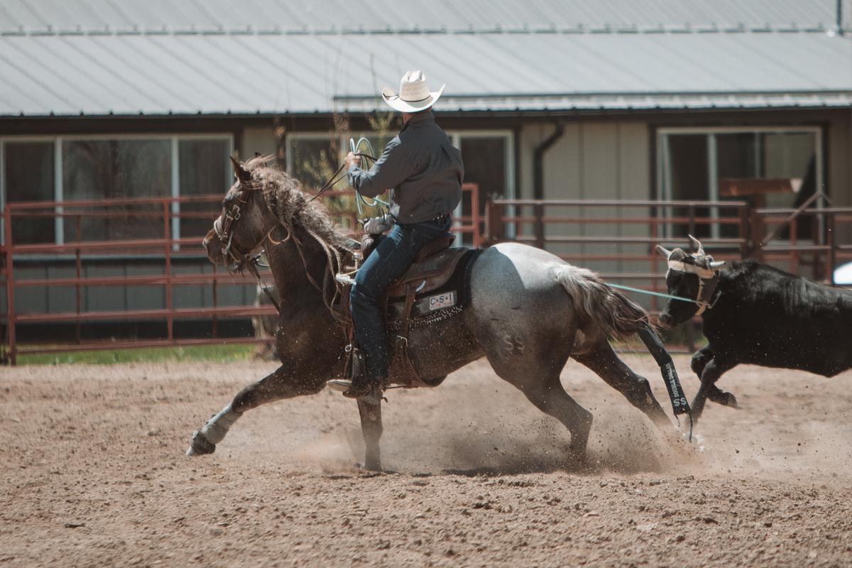 Double Dollar Ranch