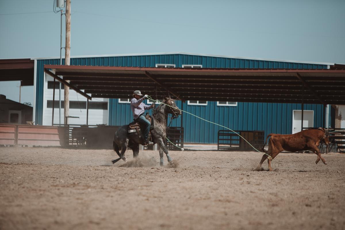 Double Dollar Ranch
