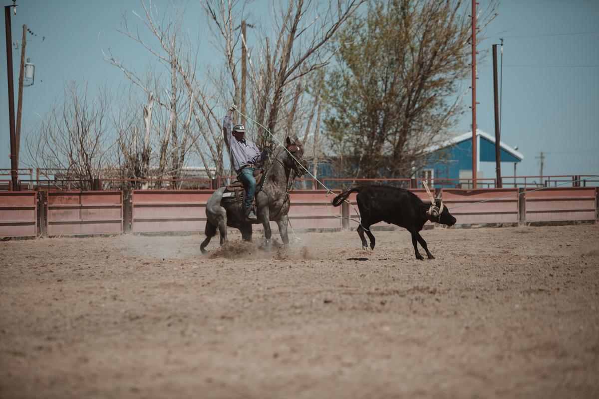 Double Dollar Ranch