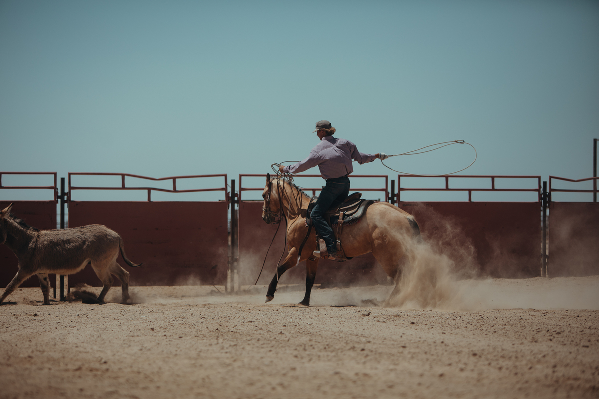 Double Dollar Ranch