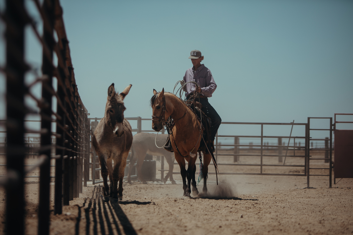 Double Dollar Ranch